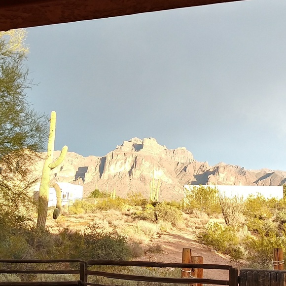 Meet your Posher, Ruth - Picture 8 of 8